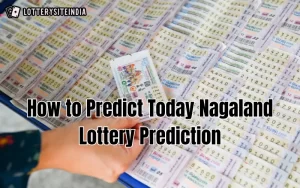 today nagaland lottery prediction